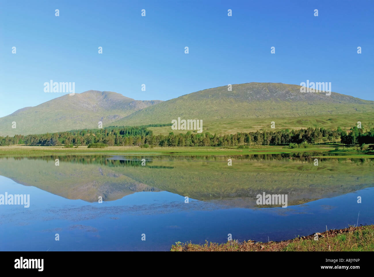 Loch Tulla nr Bridge of Orchy Argyll & Bute Scozia Scotland Foto Stock