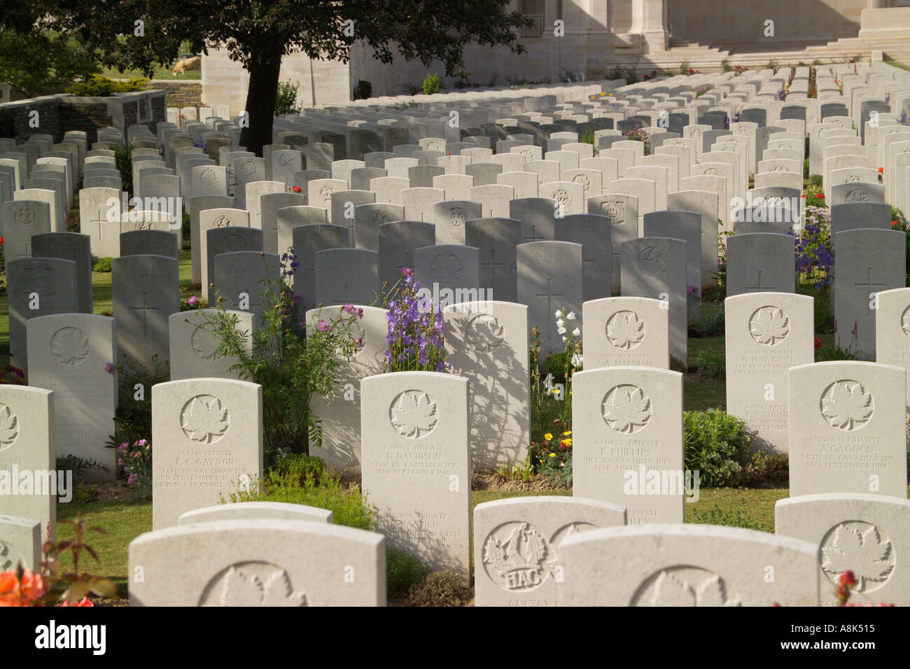 British Prima Guerra Mondiale Cimitero Vis en Artois Pas de Calais Francia Foto Stock