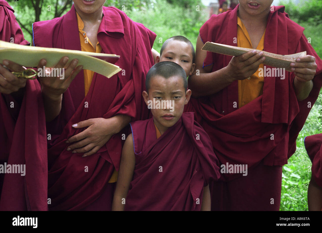 Monaci Tibetani chant durante una preghiera e fire puja per la pace in tutto il mondo a Drepung Gomang Monastery in India meridionale. Foto Stock