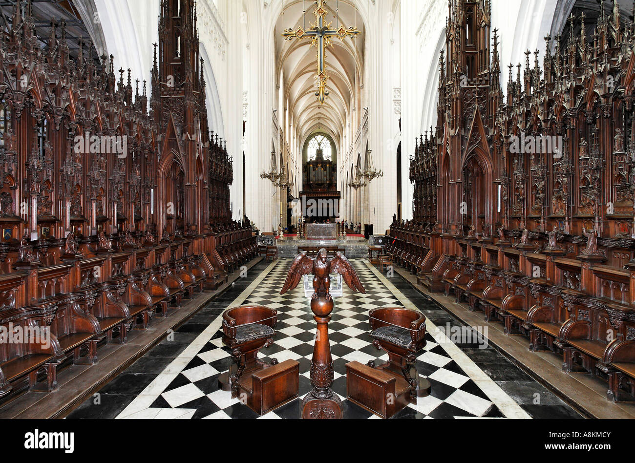 Cattedrale di nostra Signora, bancarelle del coro, vista dall'altare, anversa, belgio Foto Stock
