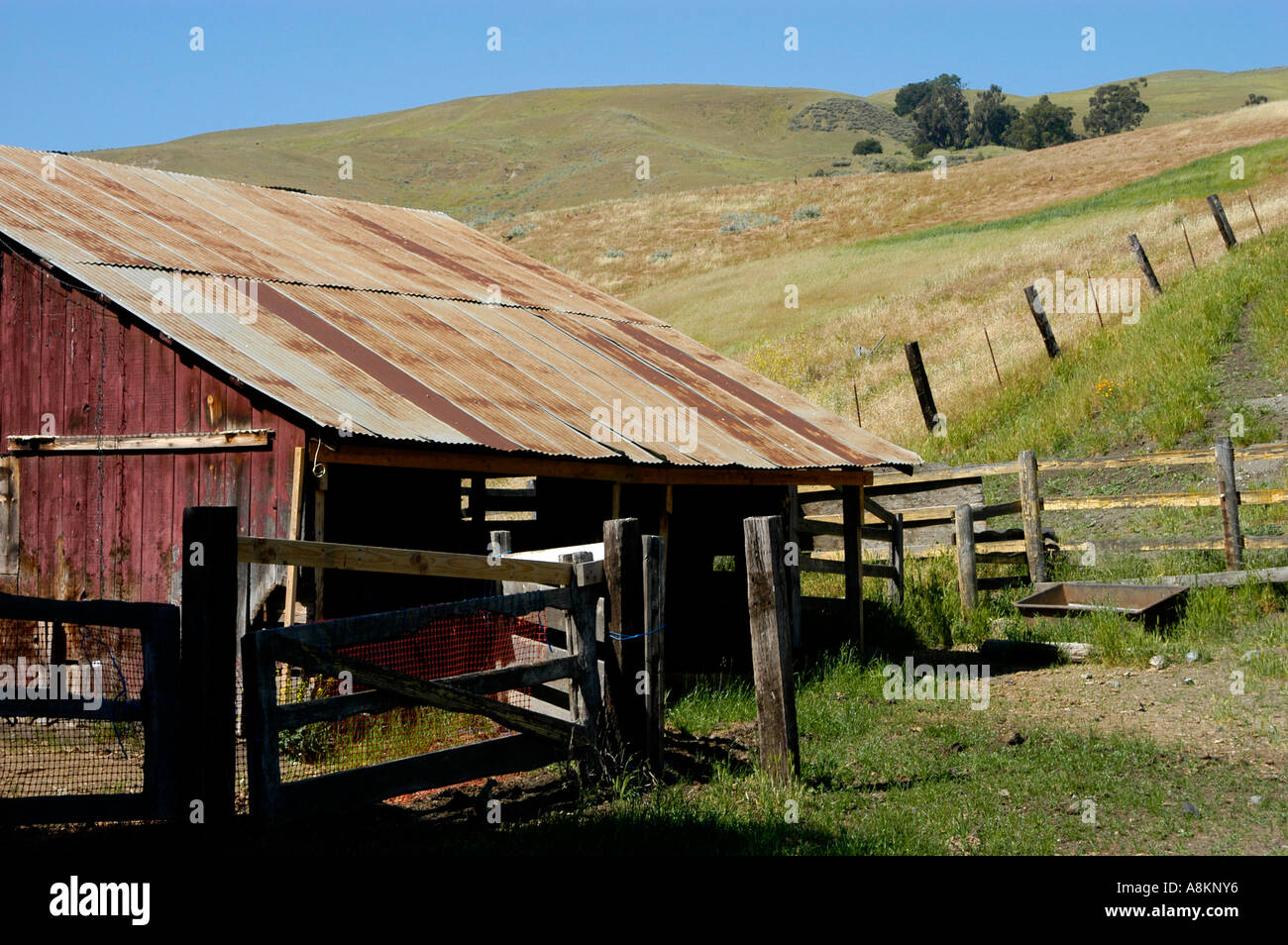 Il vecchio fienile spiovente in una fattoria con dolci colline nel nord della California. Foto Stock