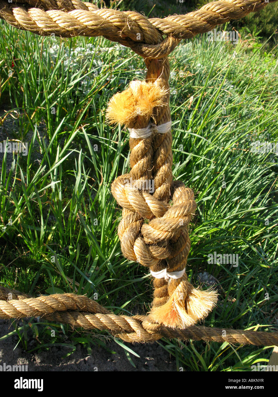 Spesso il nodo di corda da alcune fasi l'eden project Cornwall Inghilterra Regno Unito Foto Stock