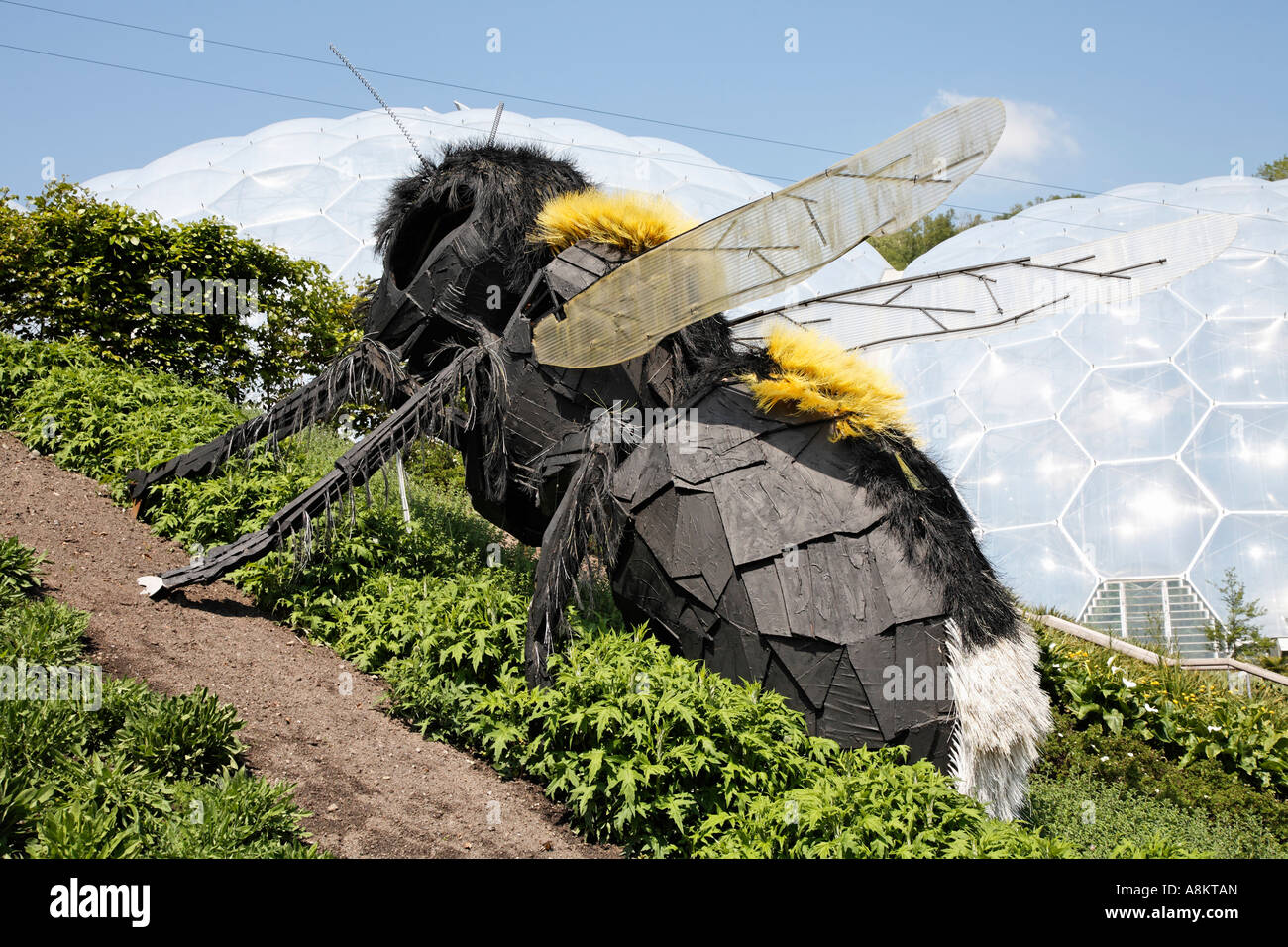 Vespa gigante all'Eden Project Cornwall Regno Unito Europa Foto Stock