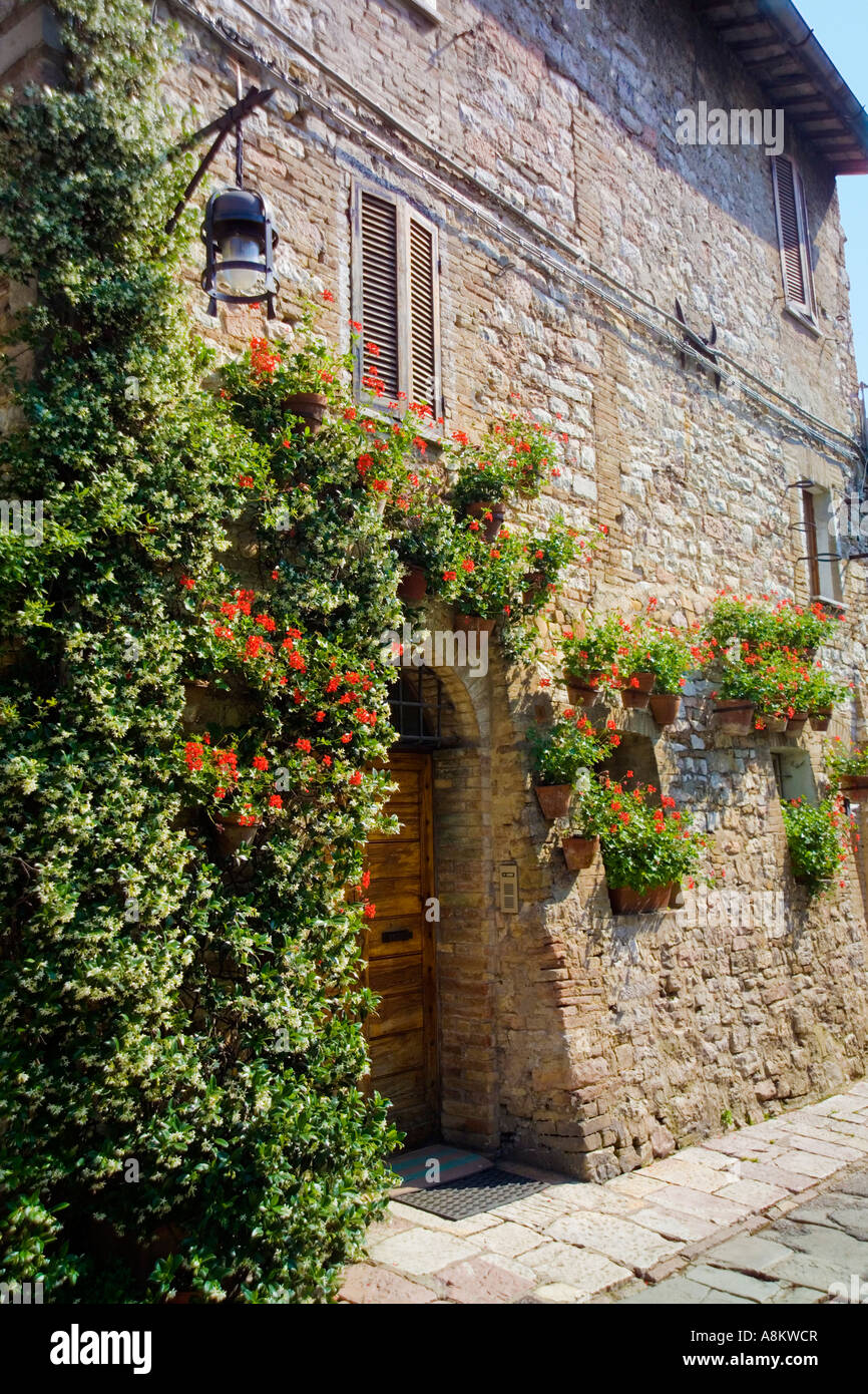 Gerani e altre piante che crescono in vasi di terracotta sulla parete di una vecchia casa in Assisi Umbria Italia. JMH2915 Foto Stock