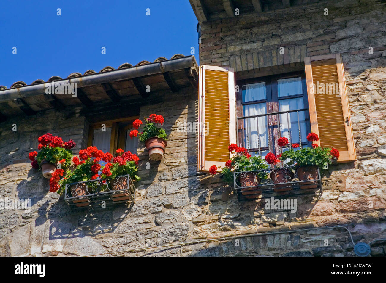 Gerani crescere in vasi di terracotta in scatole di finestra sul muro di pietra di una casa in Assisi Umbria Italia. JMH2917 Foto Stock