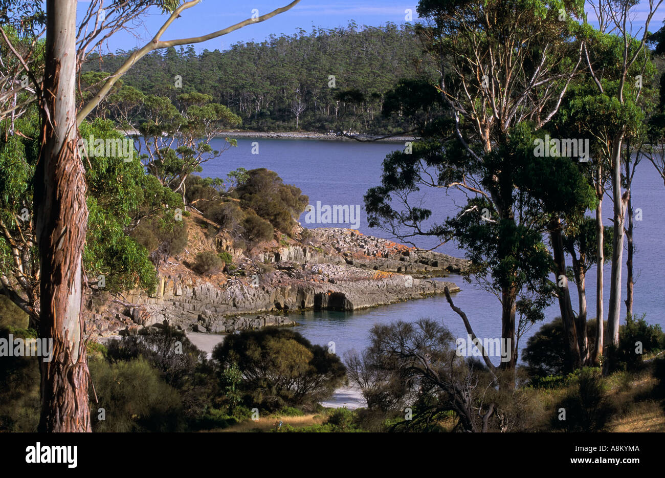 Hyatts Spiaggia e laguna Bay Bangor stazione vicino Dunalley Forestier penisola se la Tasmania Australia orizzontale Foto Stock