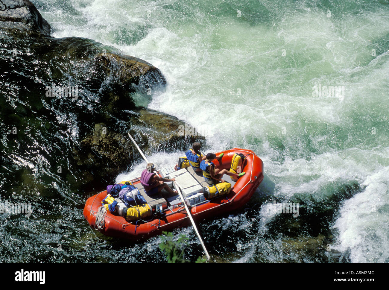 IDAHO SELWAY BITTERROOT deserto Whitewater Rafting sul fiume Selway North Central Id MR Foto Stock