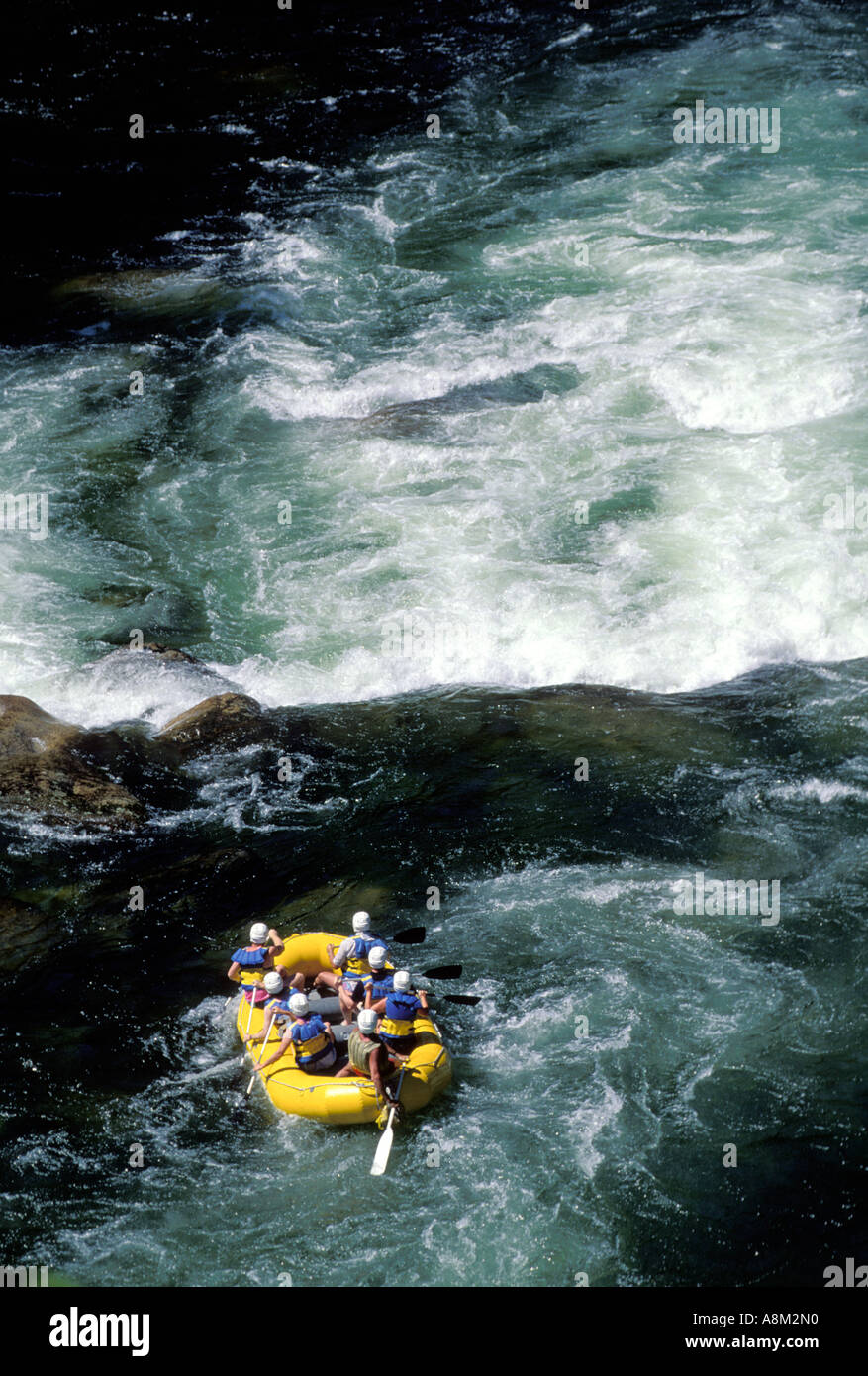 IDAHO SELWAY BITTERROOT deserto Whitewater Rafting sul fiume Selway North Central Id MR Foto Stock