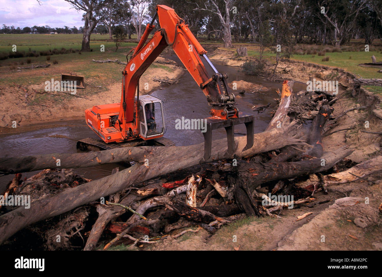 Escavatore cancellazione di alberi caduti dal creek vicino Euroa NE Victoria Australia orizzontale Foto Stock
