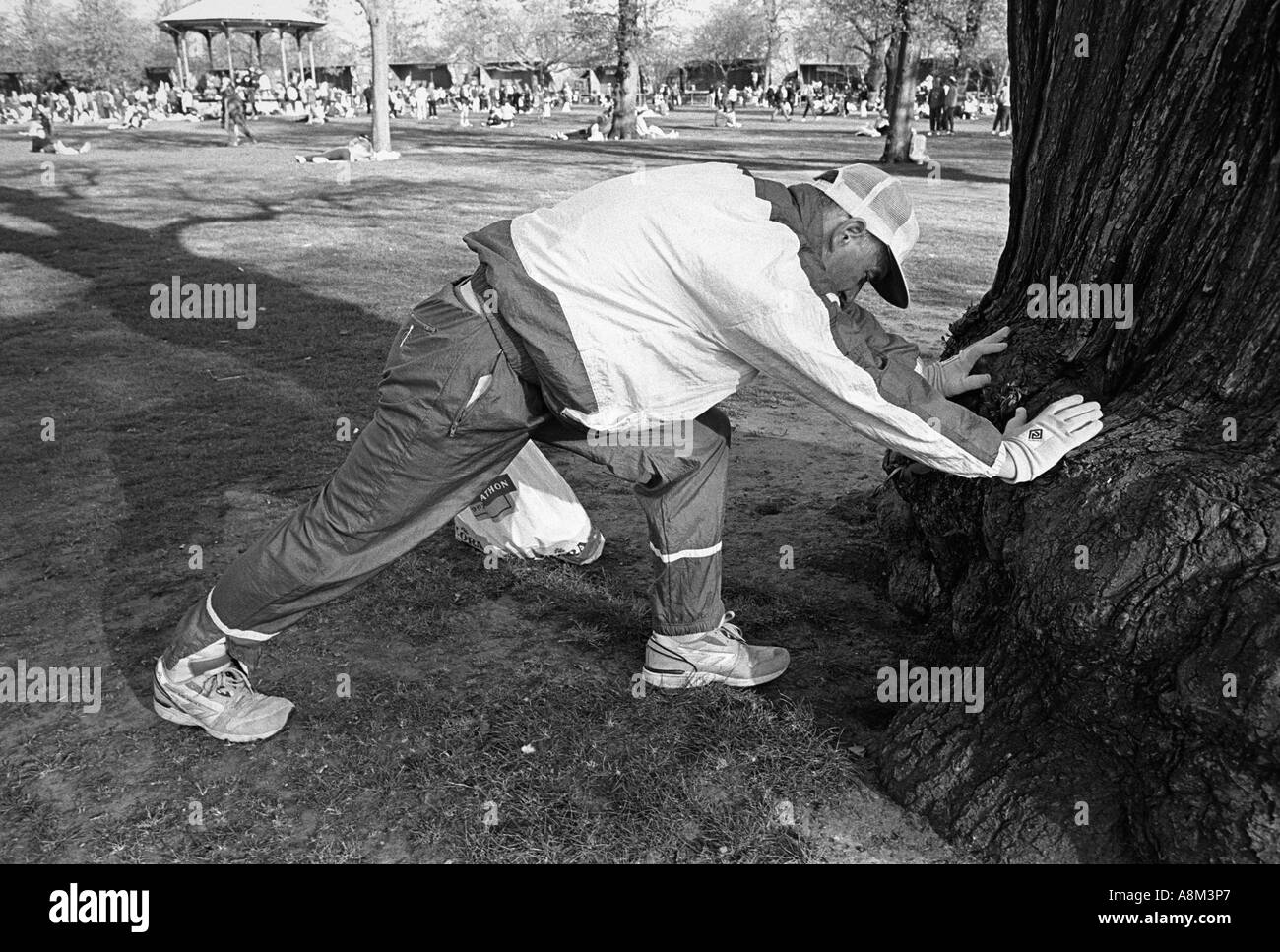 Un runner stretching contro un albero nel parco di Greenwich prima della Maratona di Londra Foto Stock