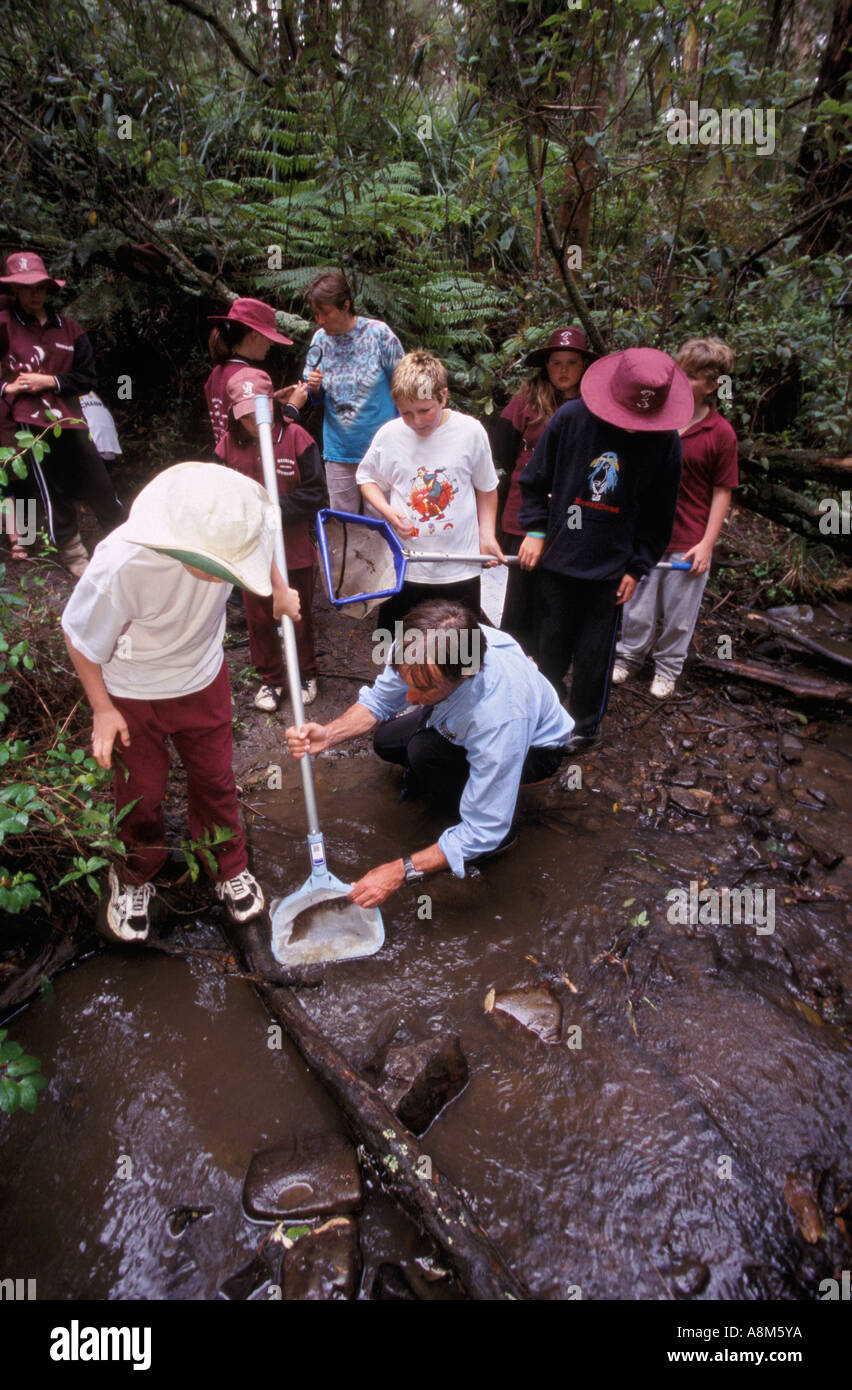 La qualità delle acque per la lezione schoolkids, Victoria, Australia Foto Stock