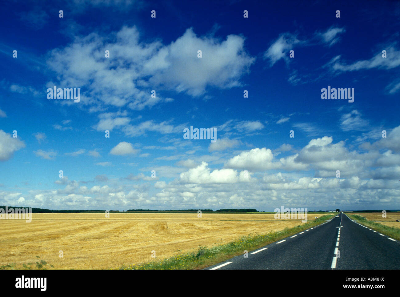 Country Road Francia Foto Stock