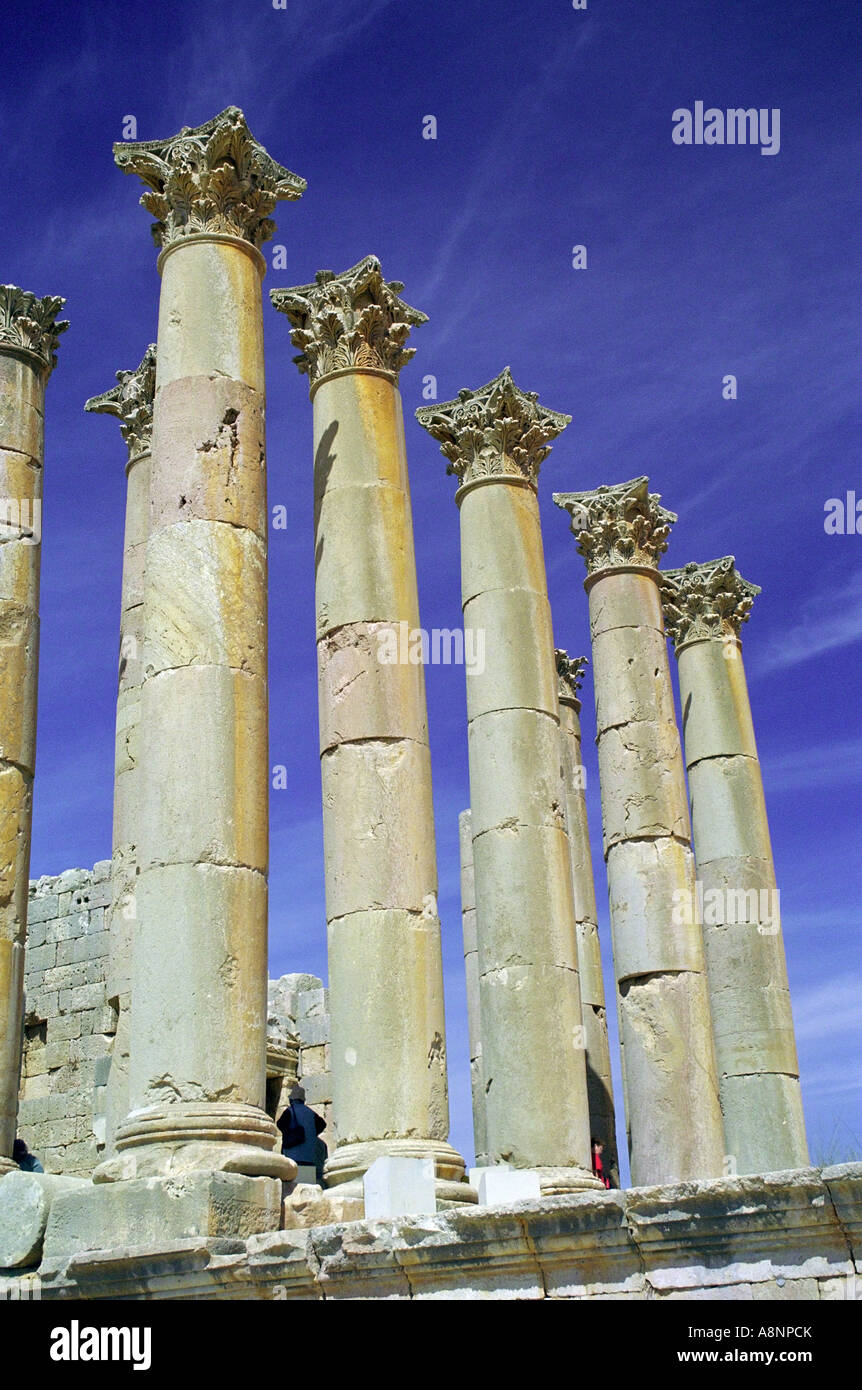 Tempio di Artemide - Jerash, Giordania Foto Stock