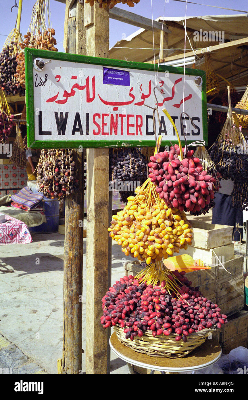 Date siriano - Palmyra, Siria Foto Stock