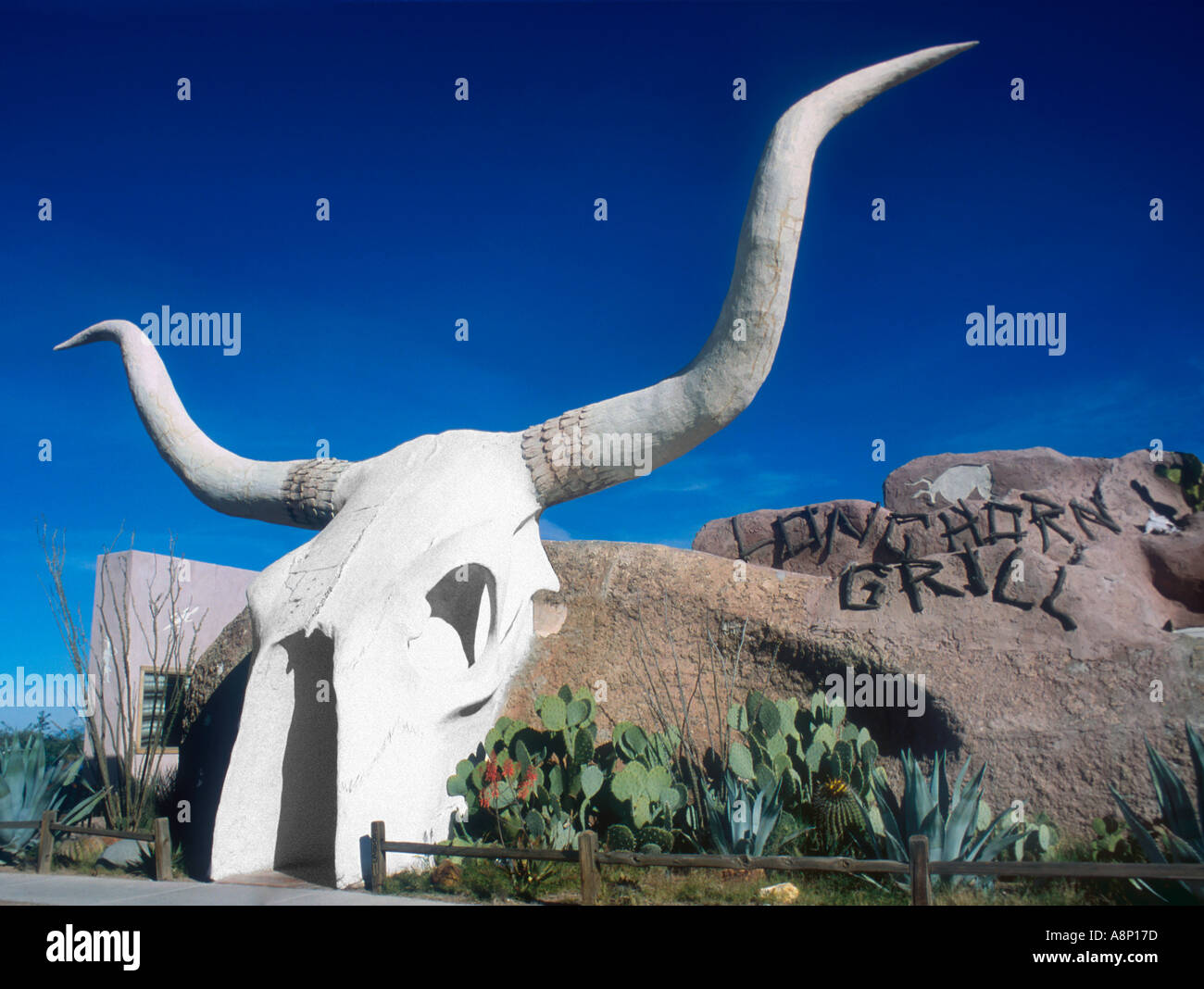 Longhorn Grill mucca a forma di teschio ristorante nel deserto sudoccidentale in Amado Arizona Foto Stock