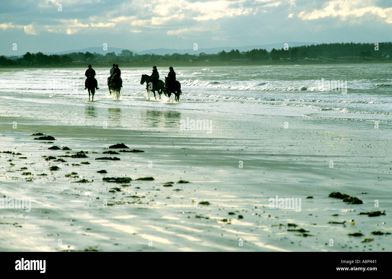 Equitazione su una spiaggia nei pressi di Dublino in Irlanda Foto Stock