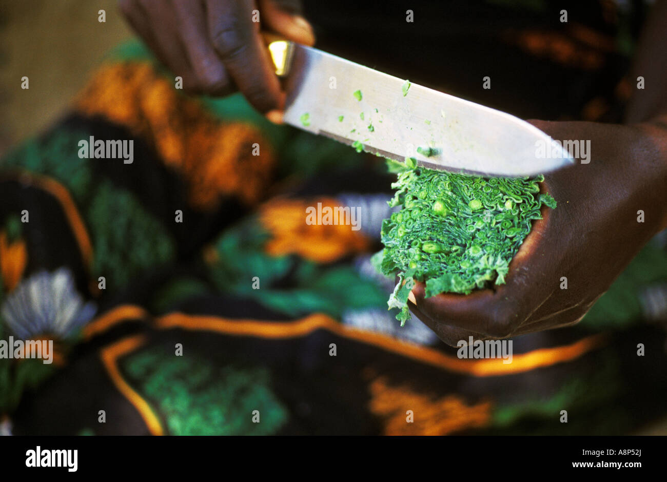 Kunda donna taglio di foglie di zucca, kawaza village, sud luangwa, Zambia Foto Stock