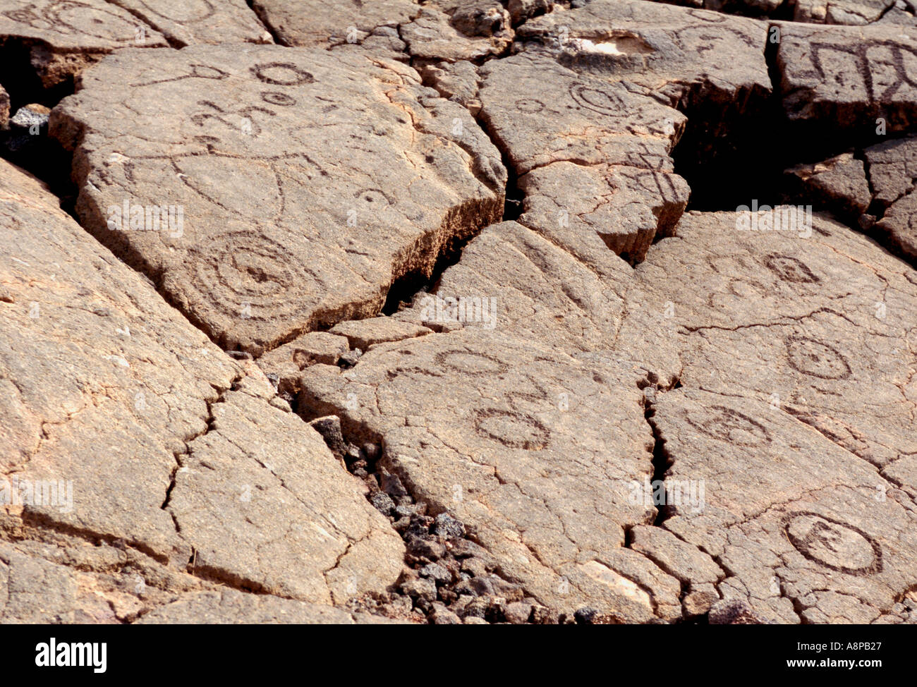 Hawaiian Rock Petroglyph 1 Foto Stock