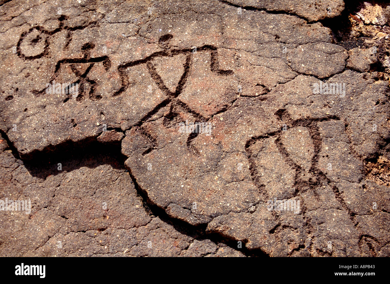 Hawaiian Rock Petroglyph 6 Foto Stock