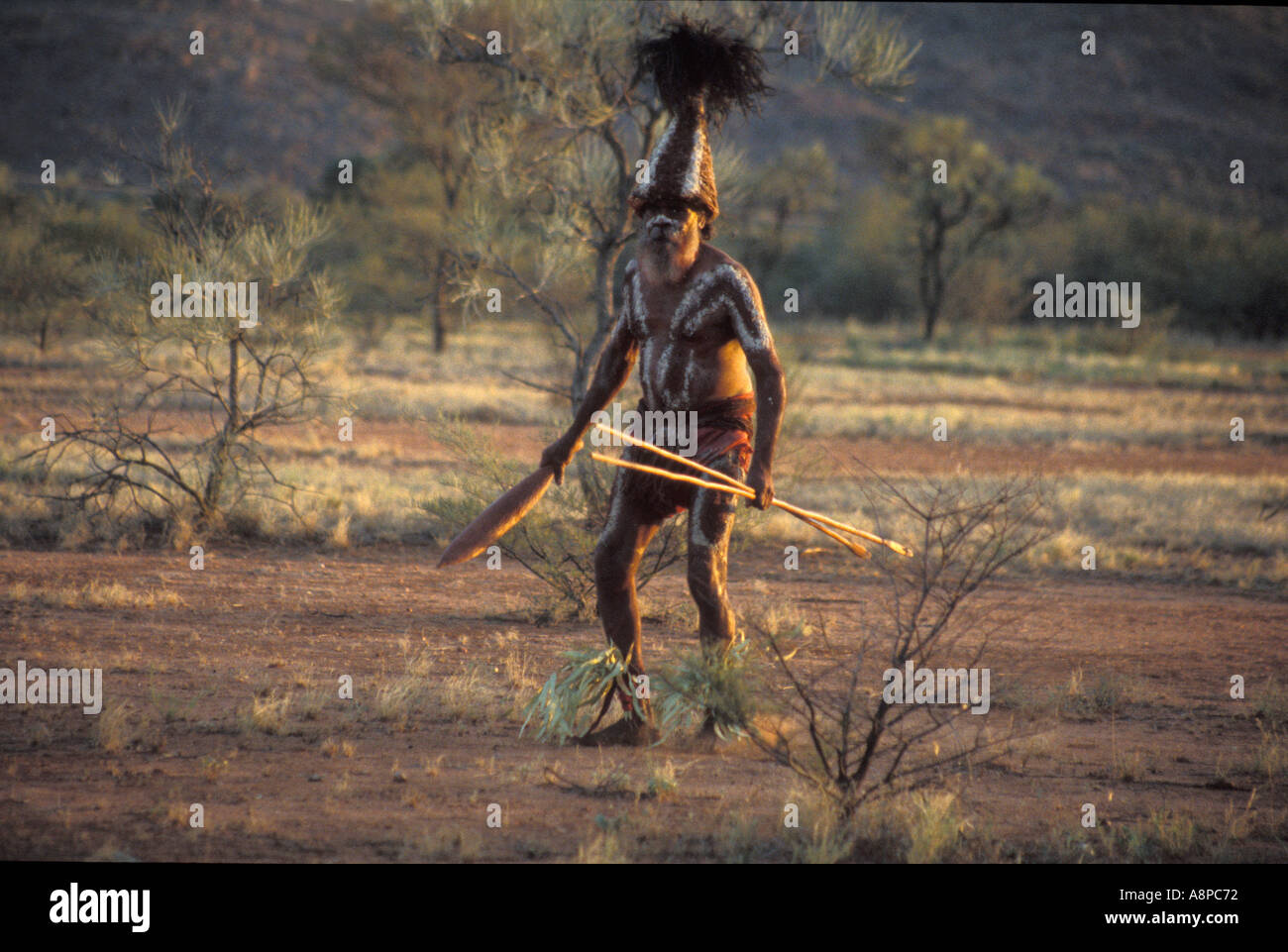 Anziano aborigeno dipinto con ocra rossa decorata con il suo totem esegue una tradizionale danza di caccia con i germogli nel deserto. Foto Stock