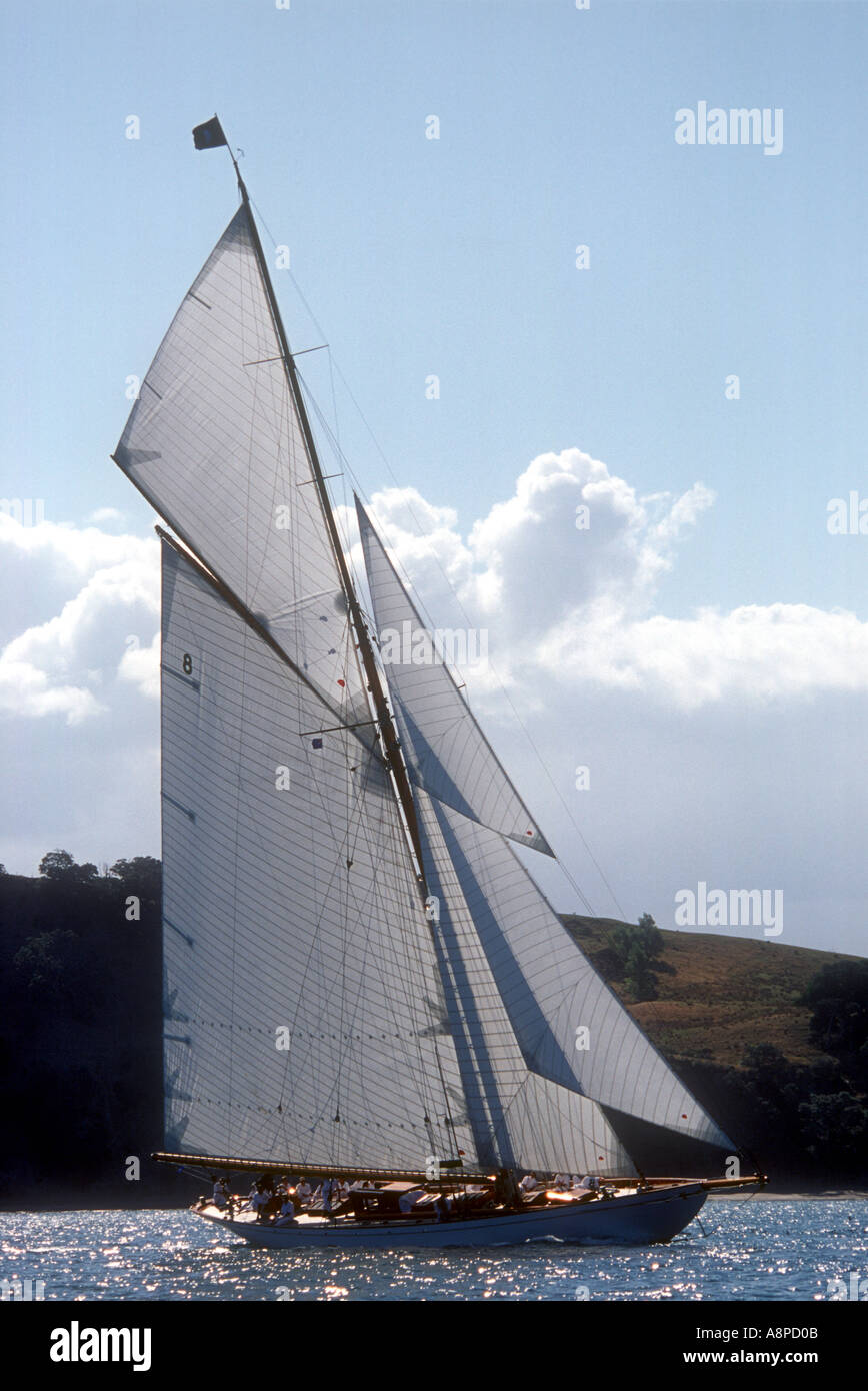 Moonbeam IV nella prima gara della International Classic Yacht Regatta 2003 Auckland Nuova Zelanda Foto Stock