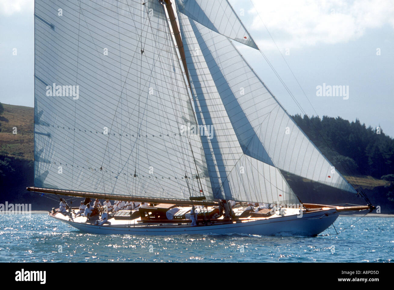 Moonbeam IV nella prima gara della International Classic Yacht Regatta 2003 Auckland Nuova Zelanda Foto Stock