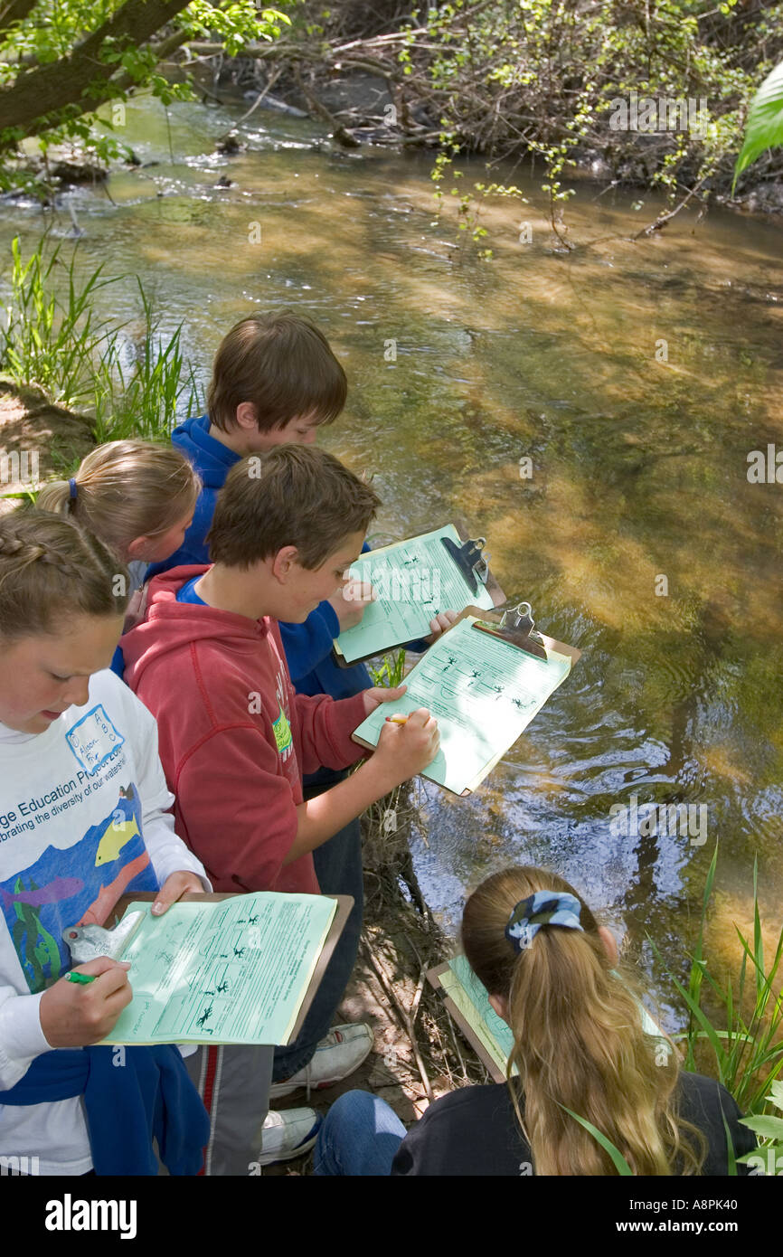 Gli studenti lo studio dell'ecologia del fiume Foto Stock