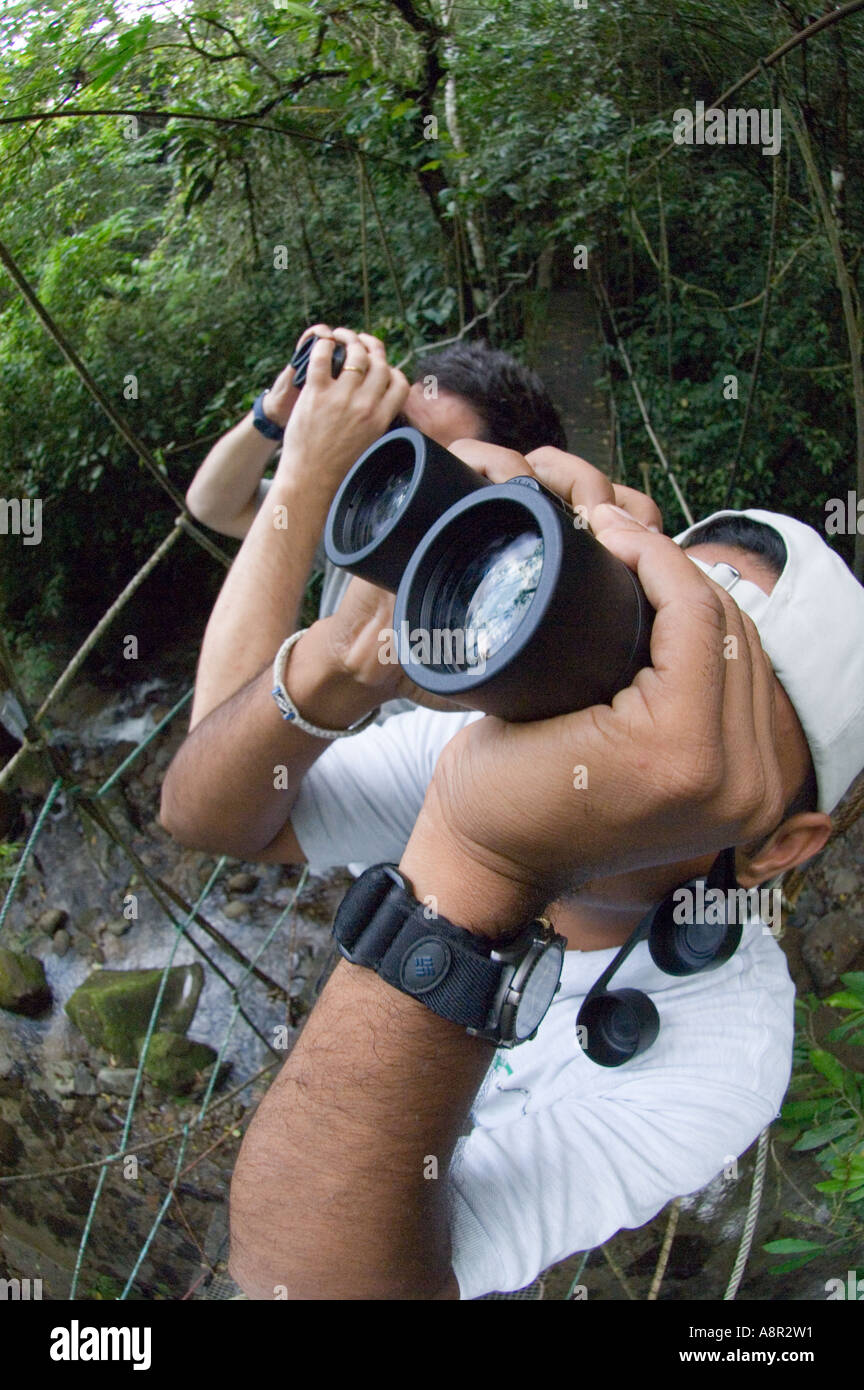 Birdwatching nella foresta pluviale tropicale Elle Valle Panama Foto Stock