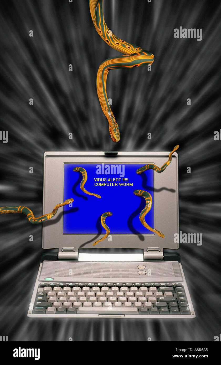 Worm virus di computer Foto Stock