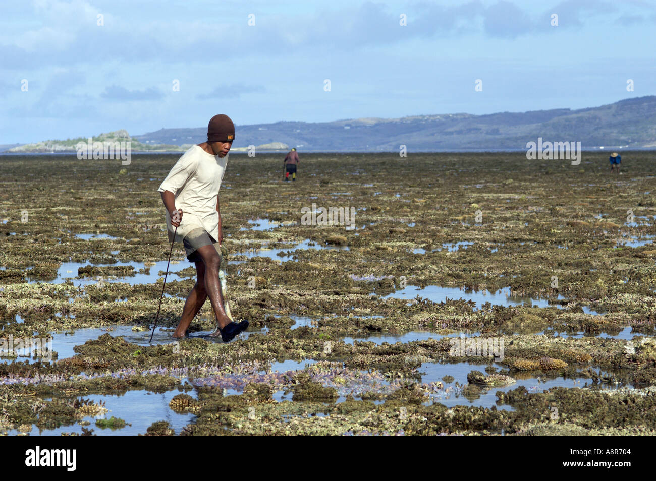 Il polpo fisherman Foto Stock