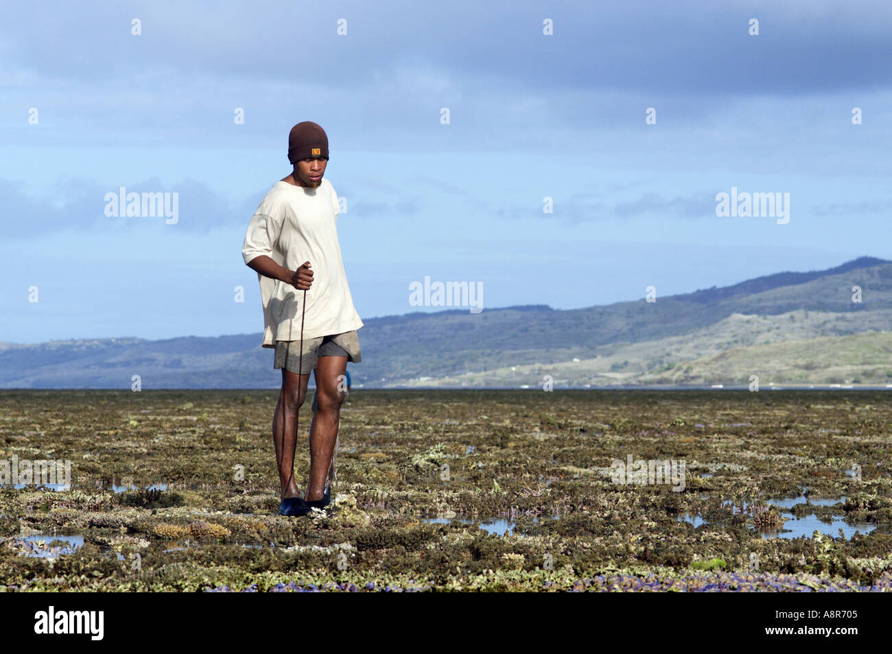 Il polpo fisherman Foto Stock