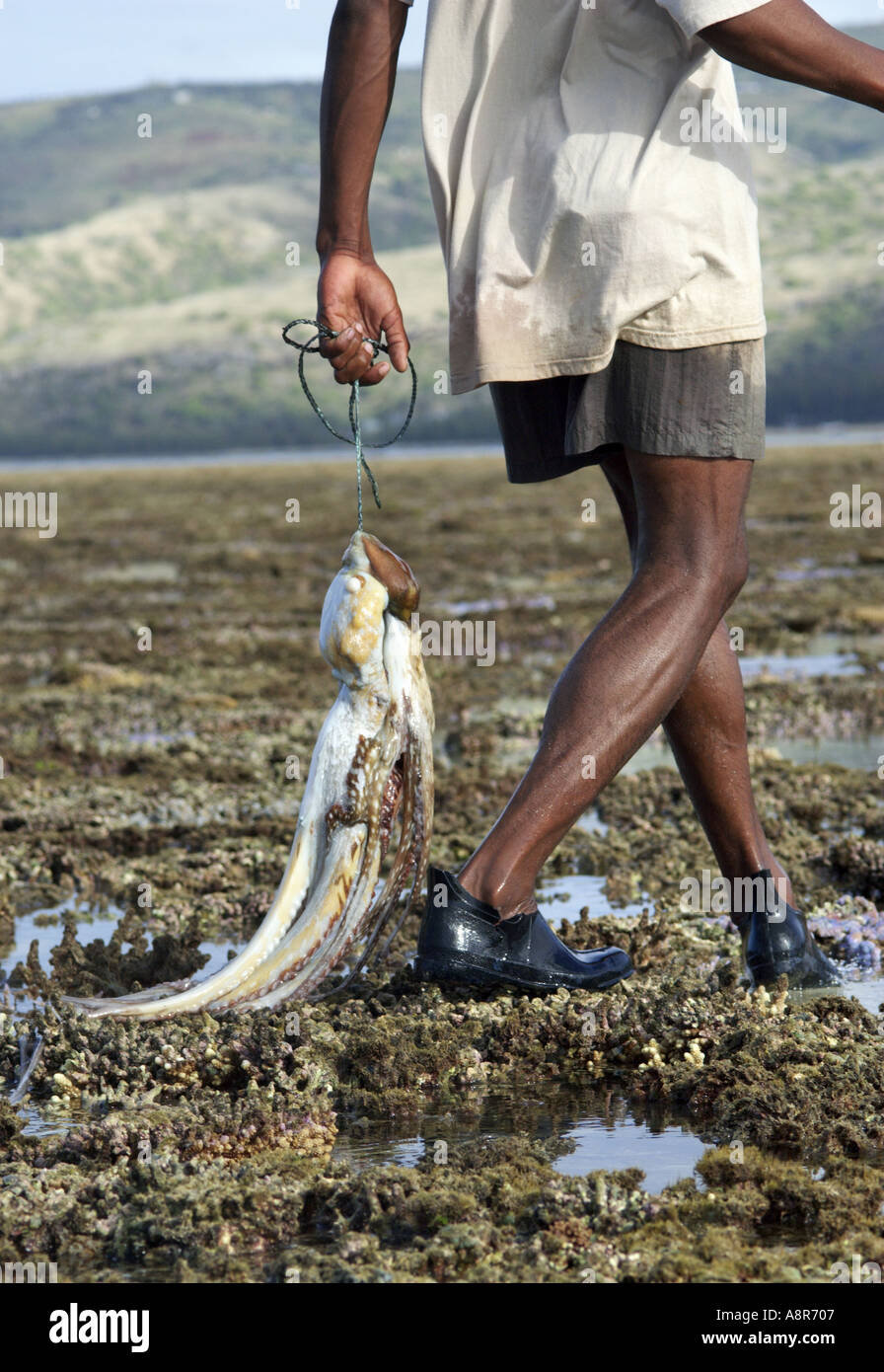 Il polpo fisherman Foto Stock