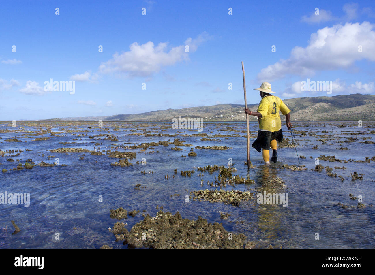 Il polpo fisherwoman Foto Stock