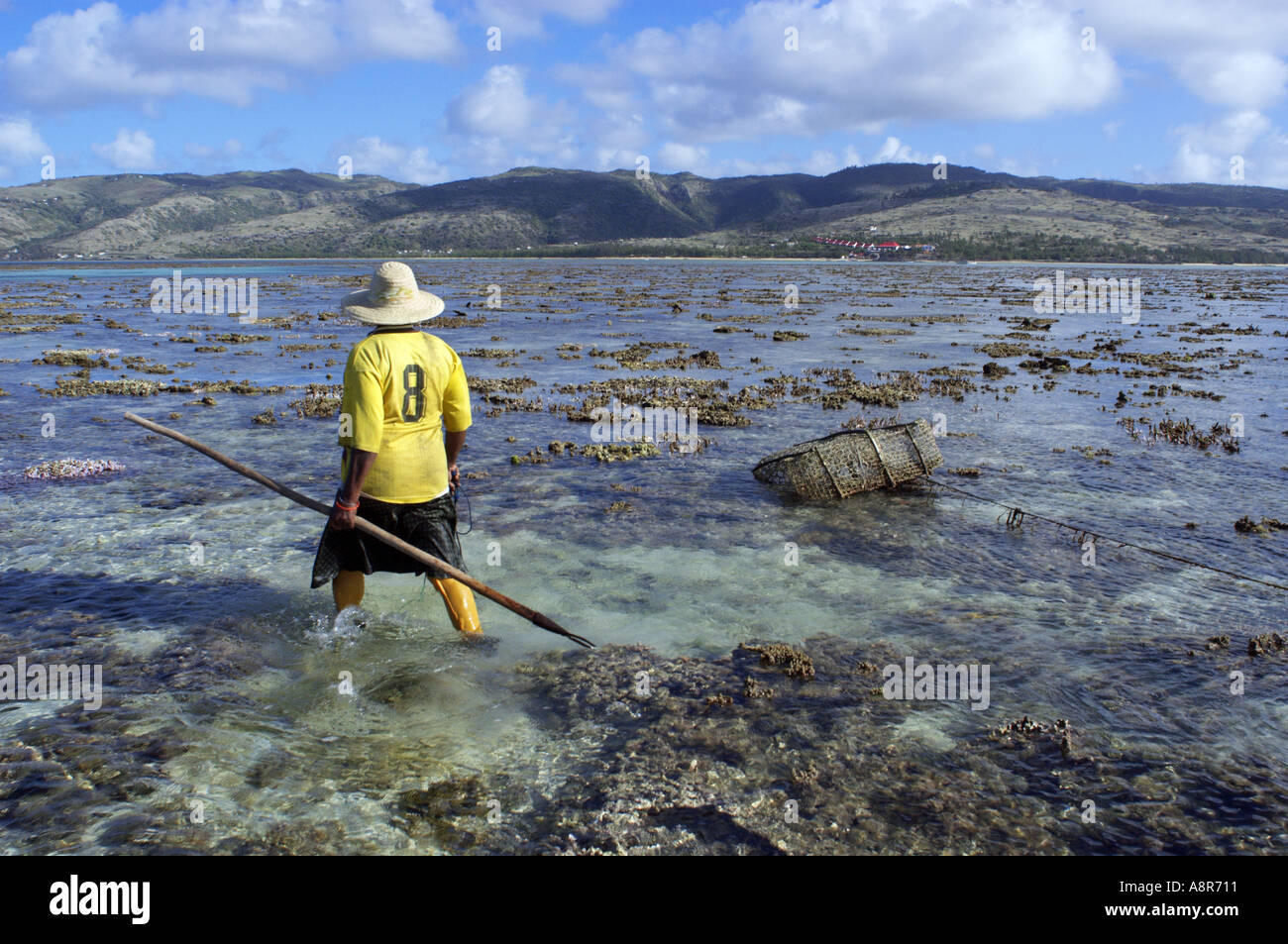 Il polpo fisherwoman Foto Stock