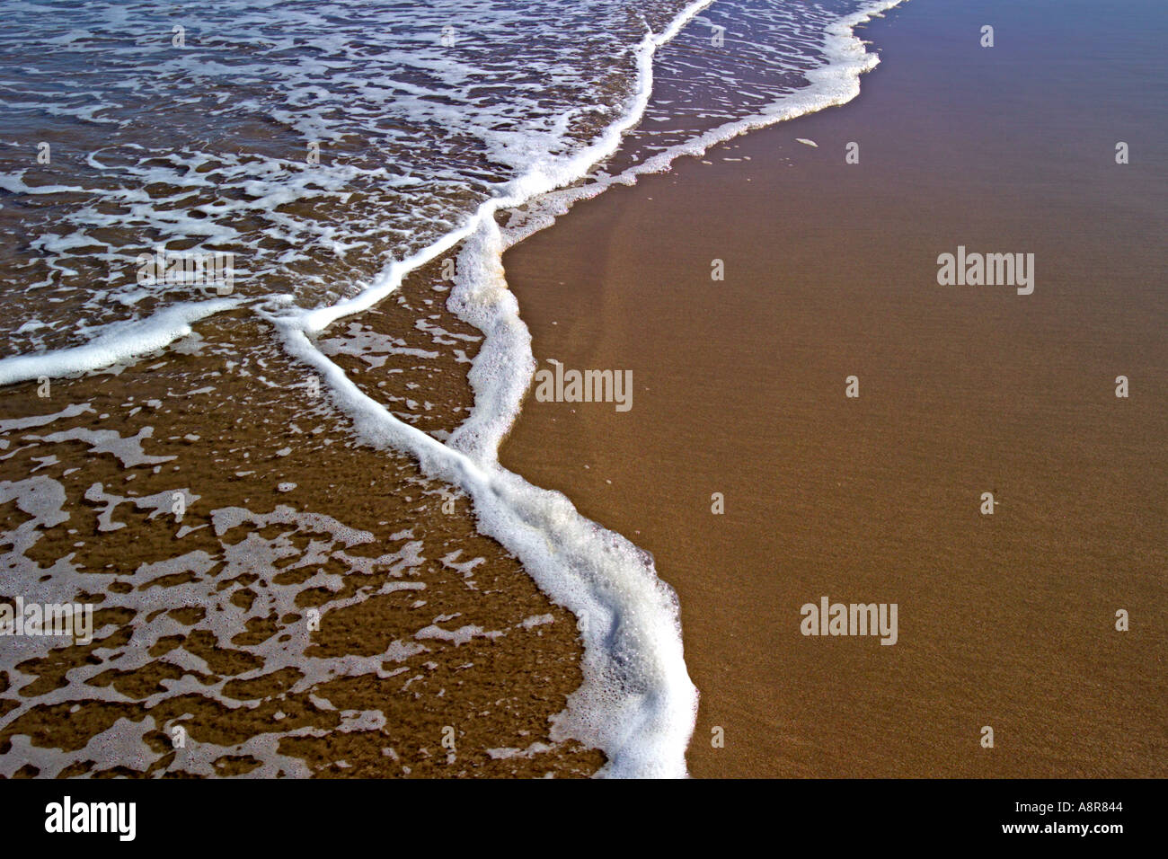 Acqua lappatura sulla riva del mare Lindisfarne Northumberland Foto Stock