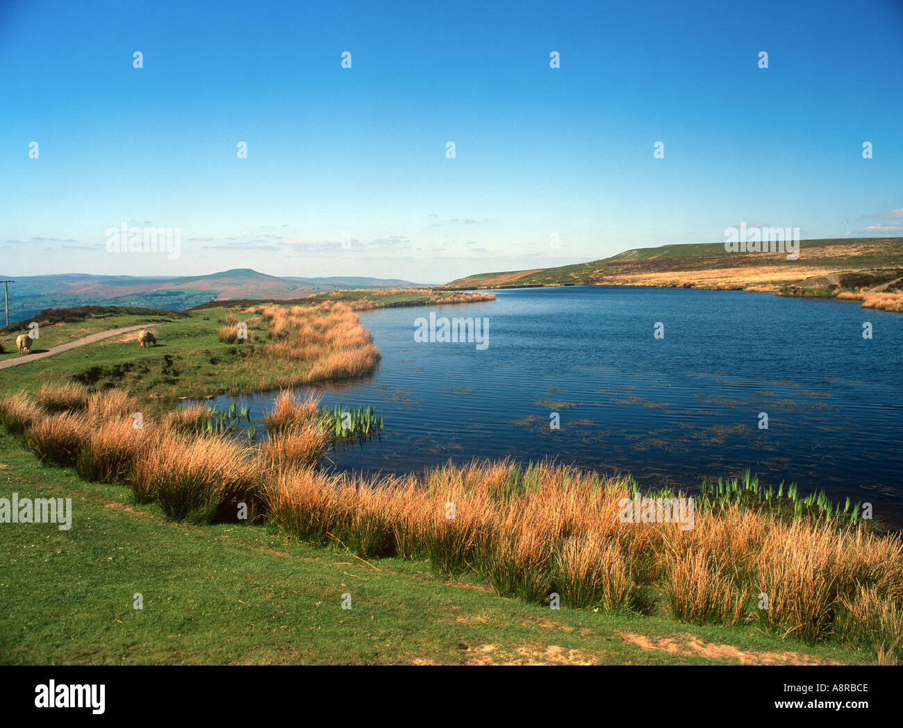 Keepers Pond Blorenge la montagna Sugar Loaf sullo sfondo le montagne nere South East Wales Foto Stock