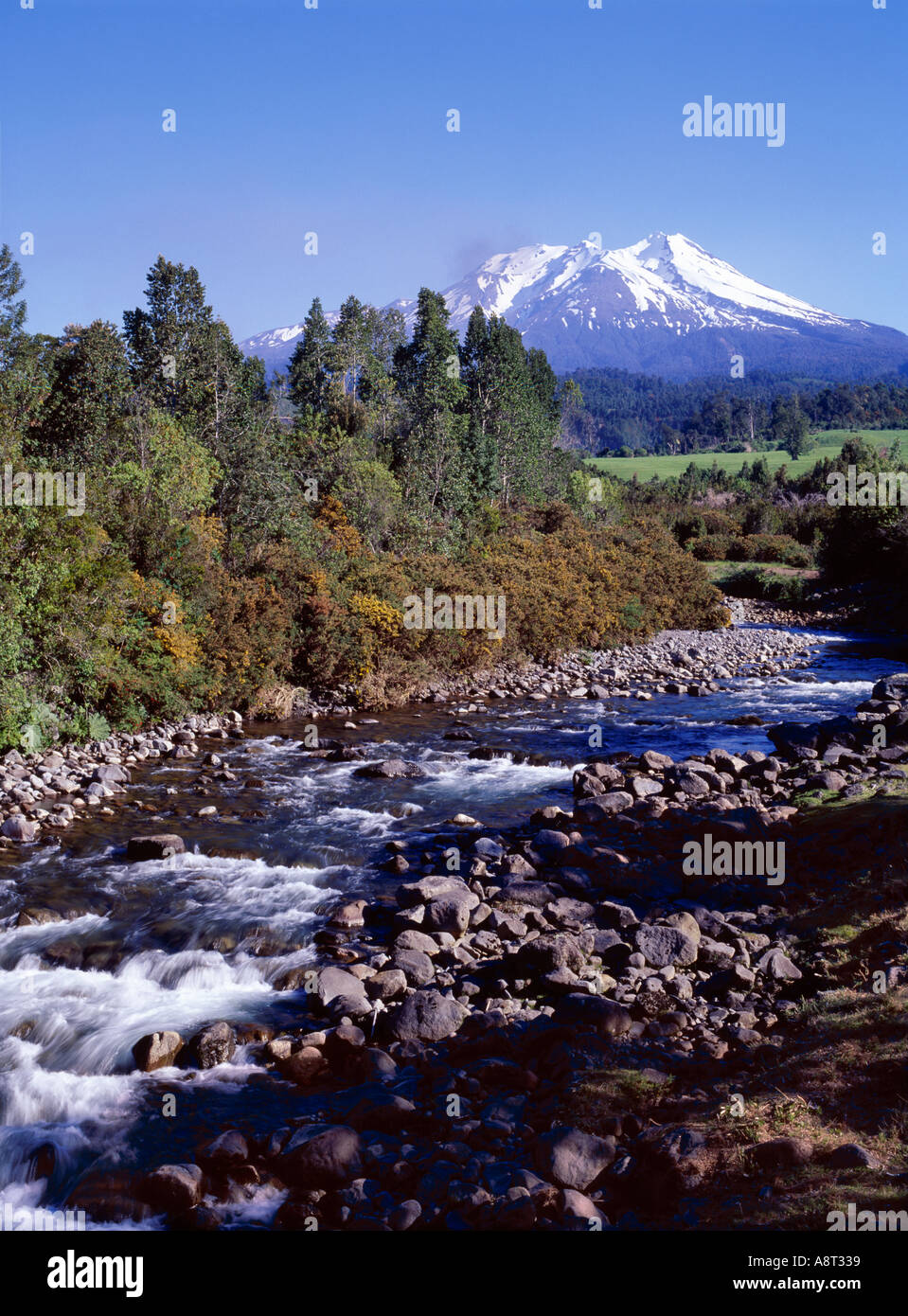 Il vulcano Calbuco 2015m vista sul Rio Blanco vicino a Puerto Montt in Cile Foto Stock