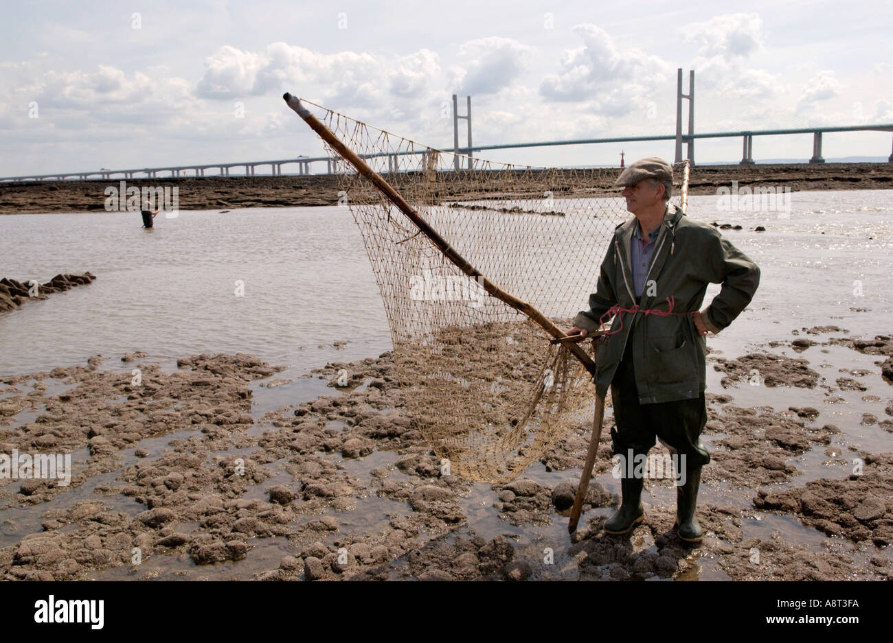 Uomini locale per la pesca del salmone utilizzando un tradizionale Lave Net sul calo di tendenza della Severn Estuary in Black Rock South Wales UK Foto Stock