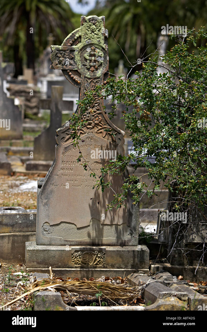 Lapidi e tombe nel cimitero di Rookwood Sydney Australia Oceania Foto Stock