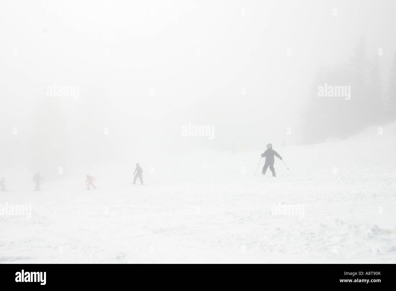 4 in discesa sciatori in Whiteout Foto Stock