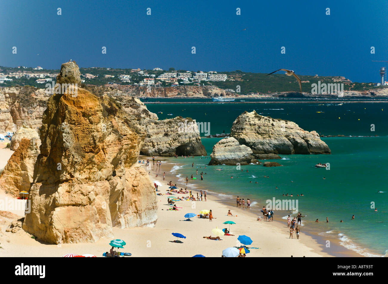 Praia da rocha beach Algarve Portogallo Foto Stock