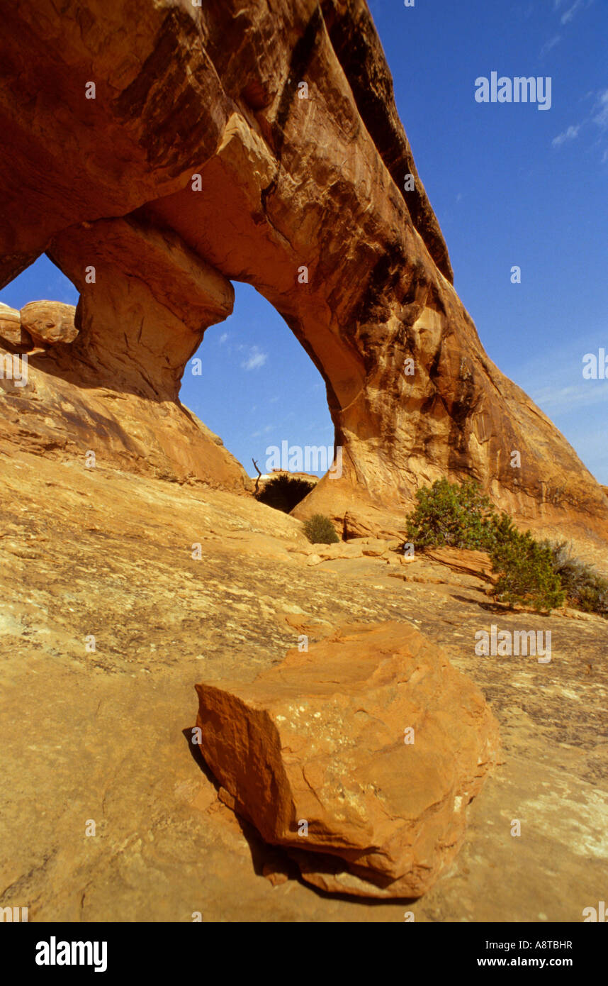 Rainbow Bridge, USA Utah, archi NP Foto Stock