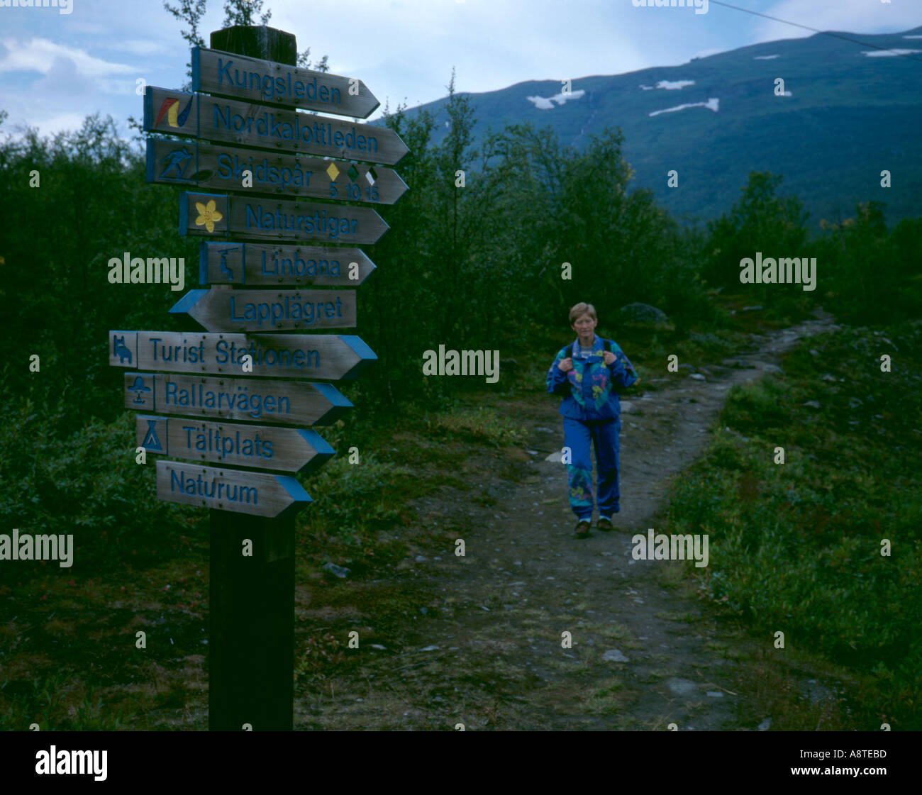 Segno di legname post, abisko, abisko national park, Norrbottens län (Svezia). Foto Stock