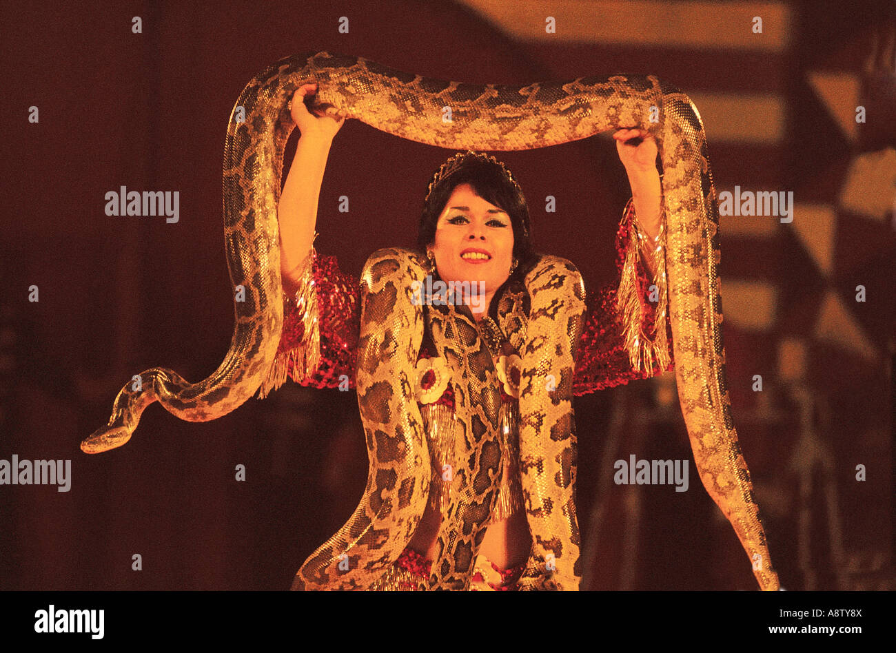 Giovane donna legge del circus holding python serpenti. Foto Stock
