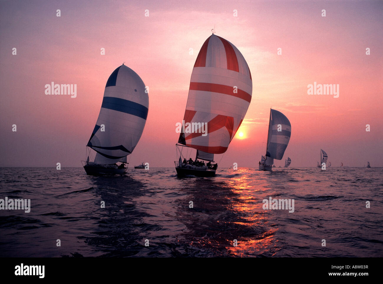 Barche a vela. In barca a vela al tramonto. Spinnaker vele. Foto Stock