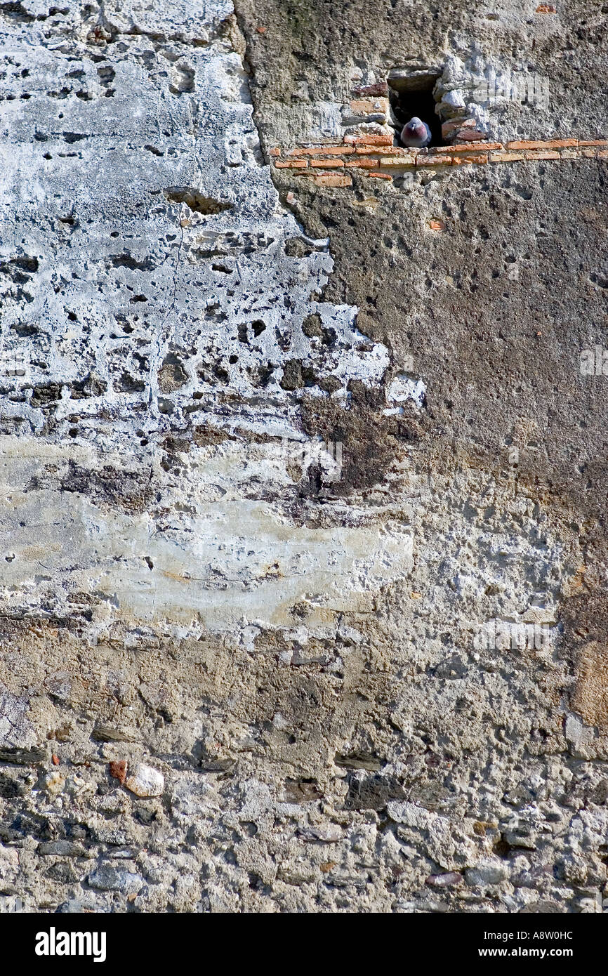 Un uccello o un piccione nel foro nella parete dell antico castello moresco in Spagna Foto Stock