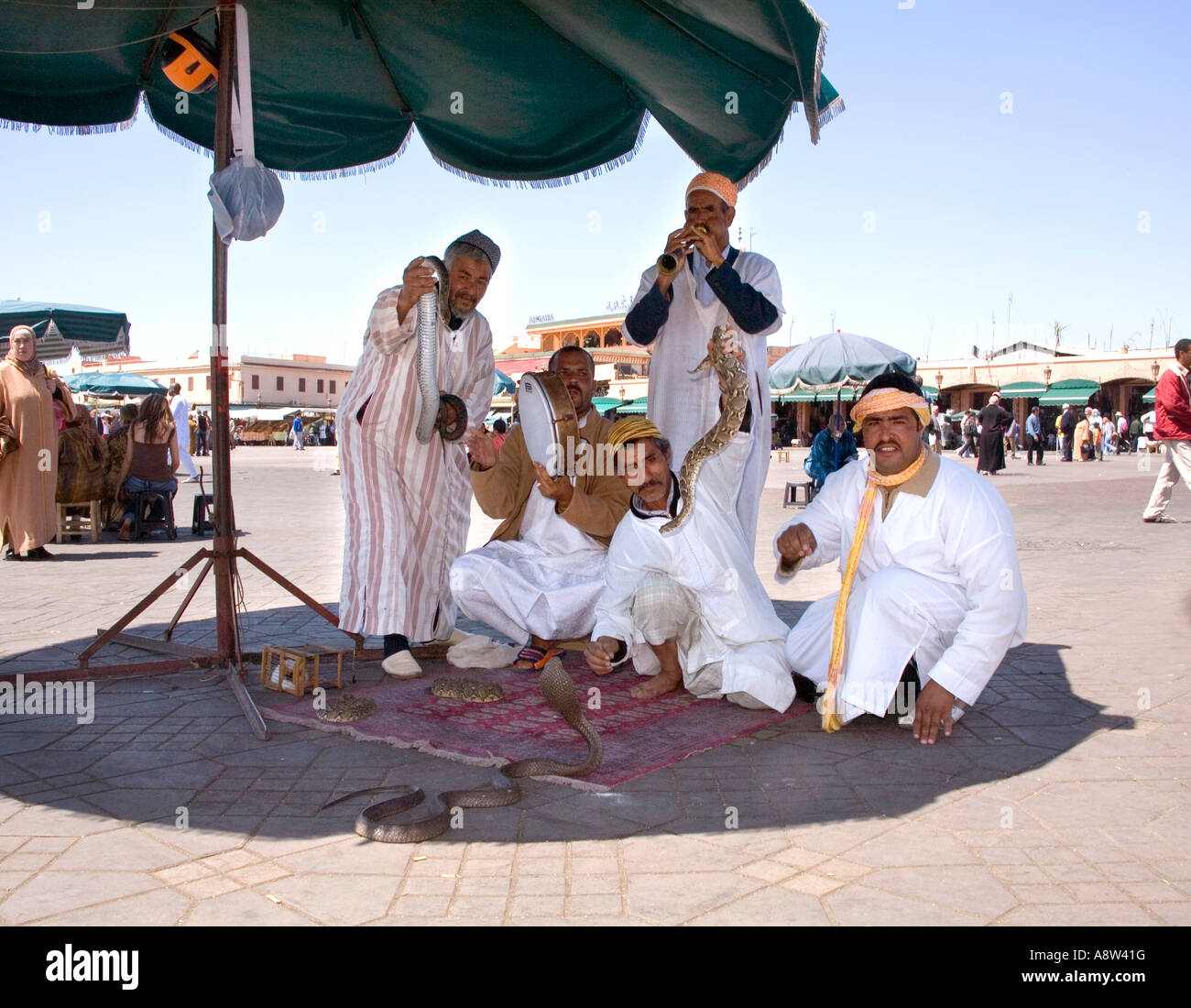 Incantatori di serpenti in Piazza Jemaa El Fna a Marrakech Foto Stock