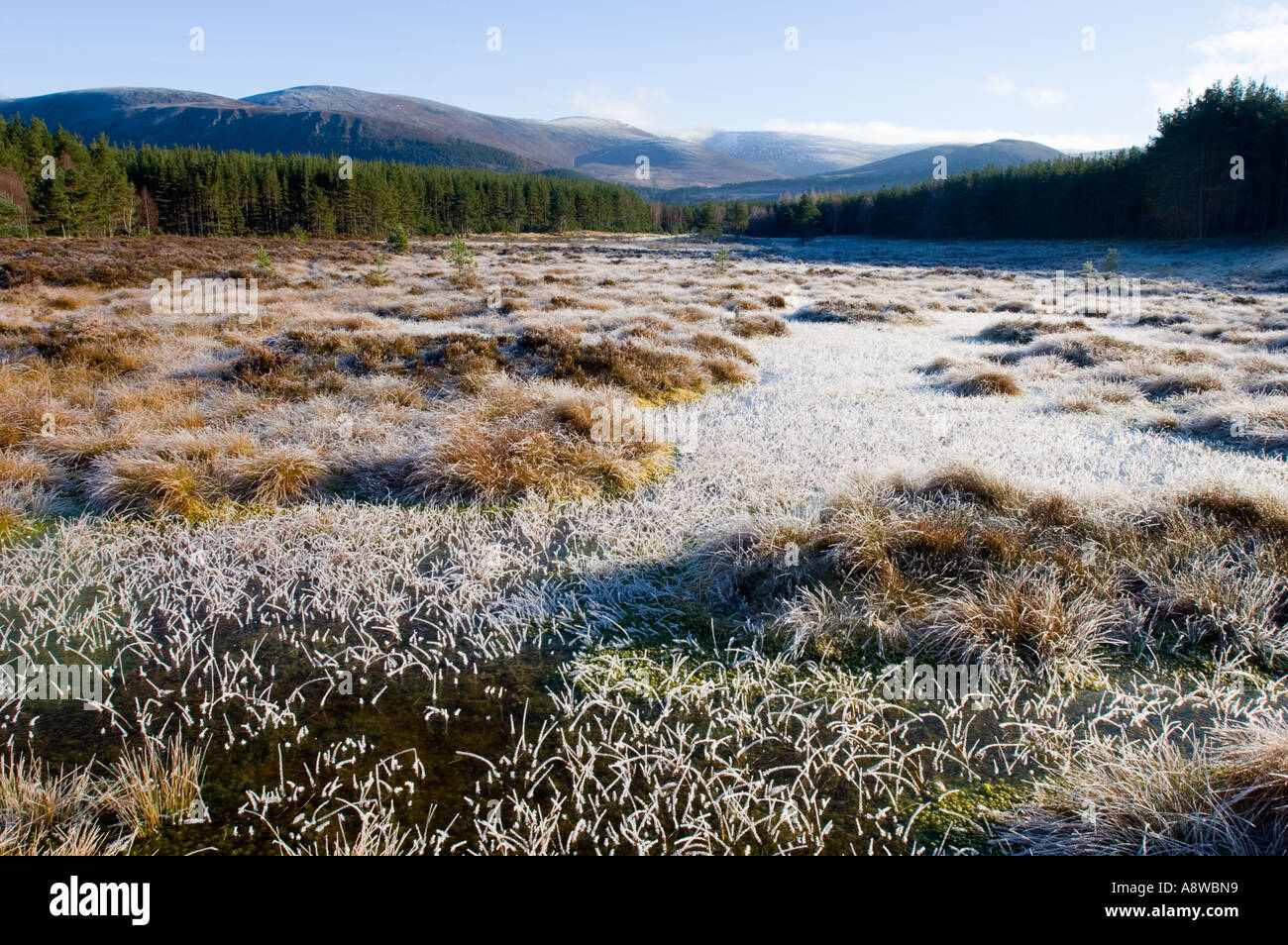 Uath Lochans contro sfondo di montagne Cairngorm, Glenfeshie, Speyside Highlands scozzesi inverno Foto Stock