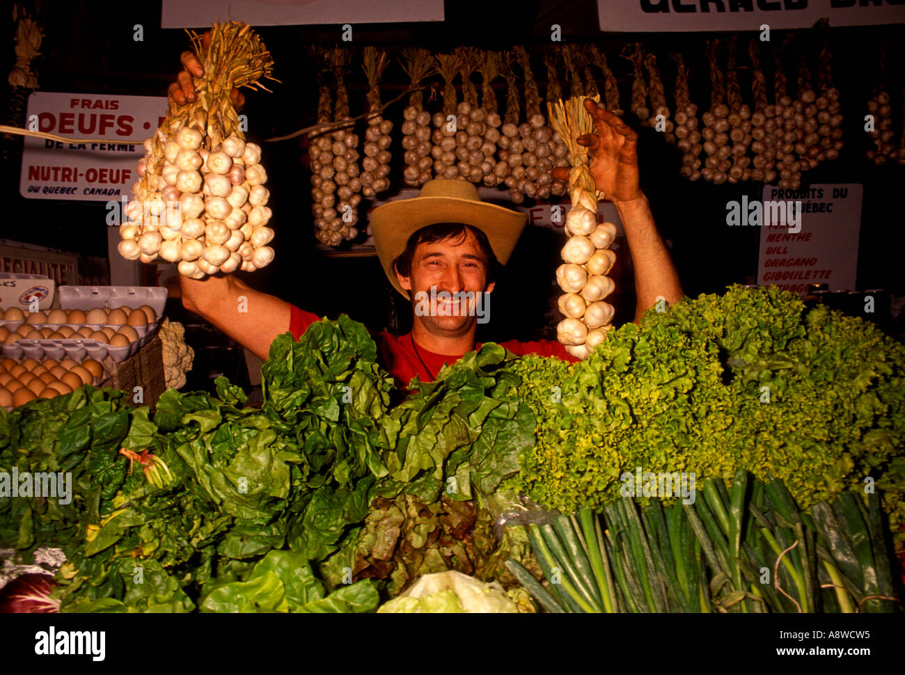 Francese canadese uomo, francese canadese, uomo, uomo adulto, aglio fornitore, il fornitore, la vendita di aglio, Atwater Market, Montreal, Provincia di Quebec, Canada Foto Stock