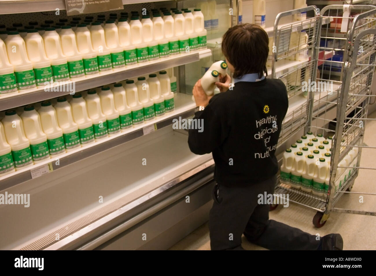 Supermercato lavoratore impilamento di bottiglie di latte su ripiani Foto Stock